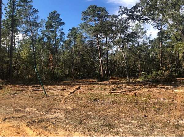 0.22 Acres of Residential Land for Sale in Interlachen, Florida