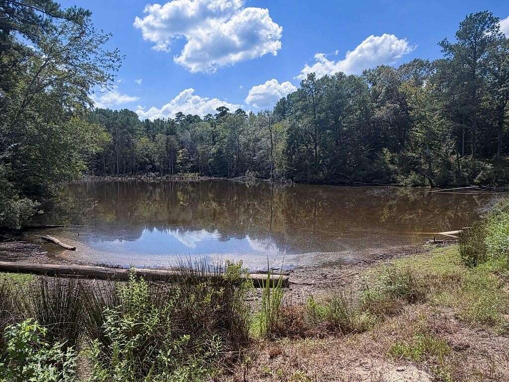 325 Acres of Recreational & Residential Land for Sale in Grapeland, Texas