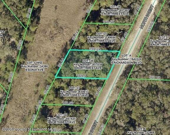 0.3 Acres of Residential Land for Sale in Webster, Florida