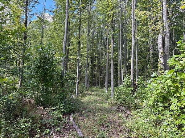 24.7 Acres of Land for Auction in Conneaut, Ohio
