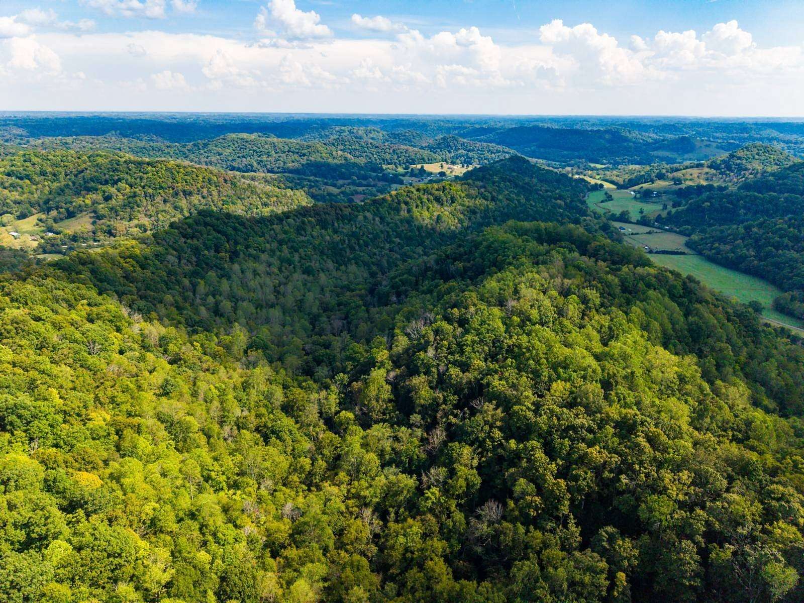 86.7 Acres of Recreational Land for Sale in Lafayette, Tennessee