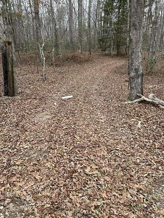 22 Acres of Recreational & Residential Land for Sale in Pikeville, Tennessee