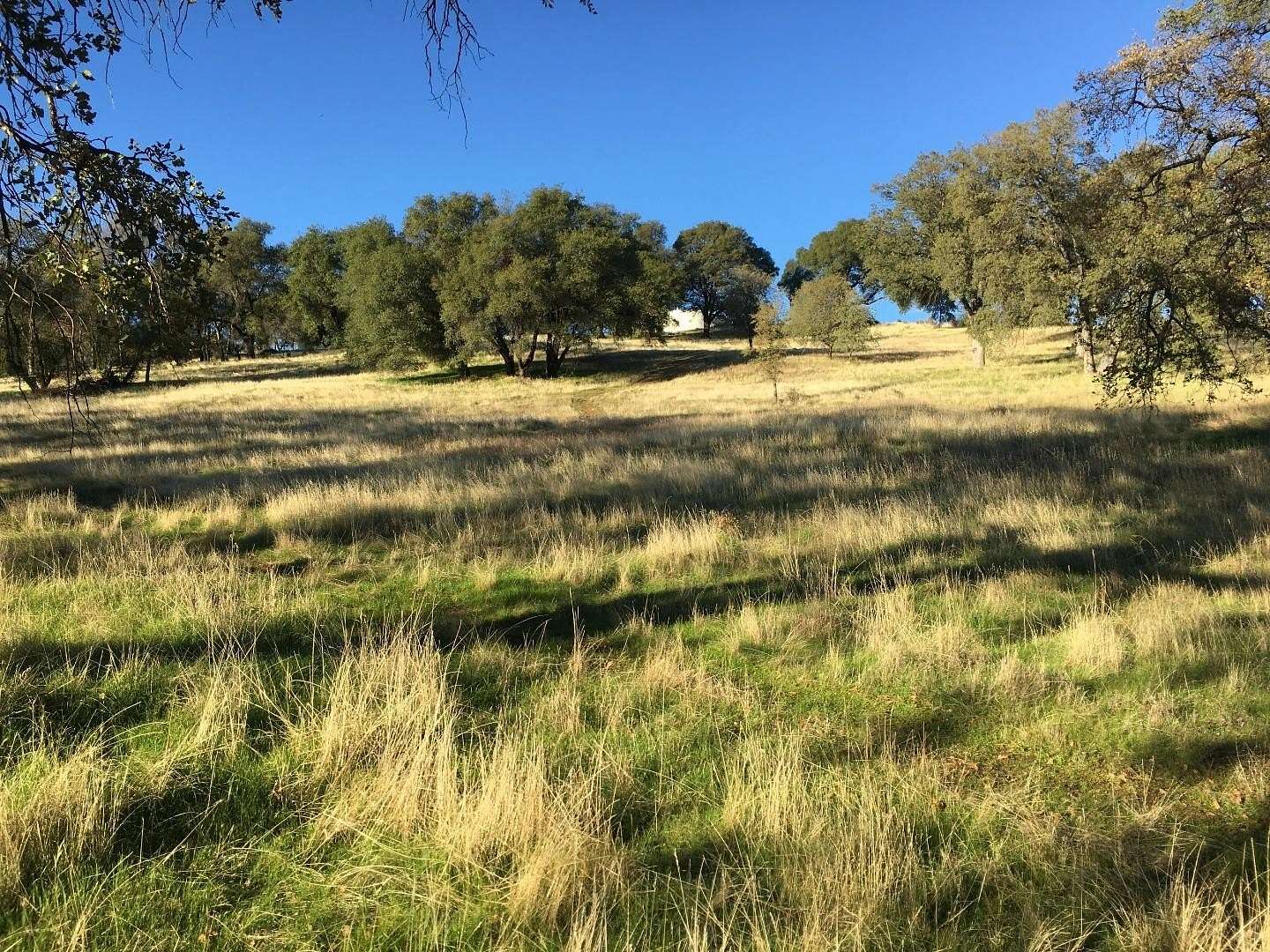 22 Acres of Land for Sale in Sonora, California