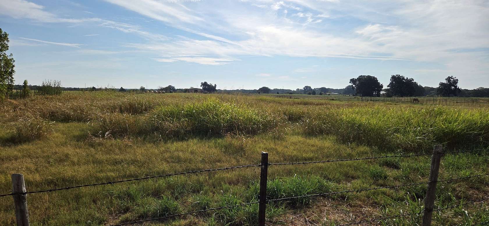 6.1 Acres of Residential Land for Sale in Sadler, Texas