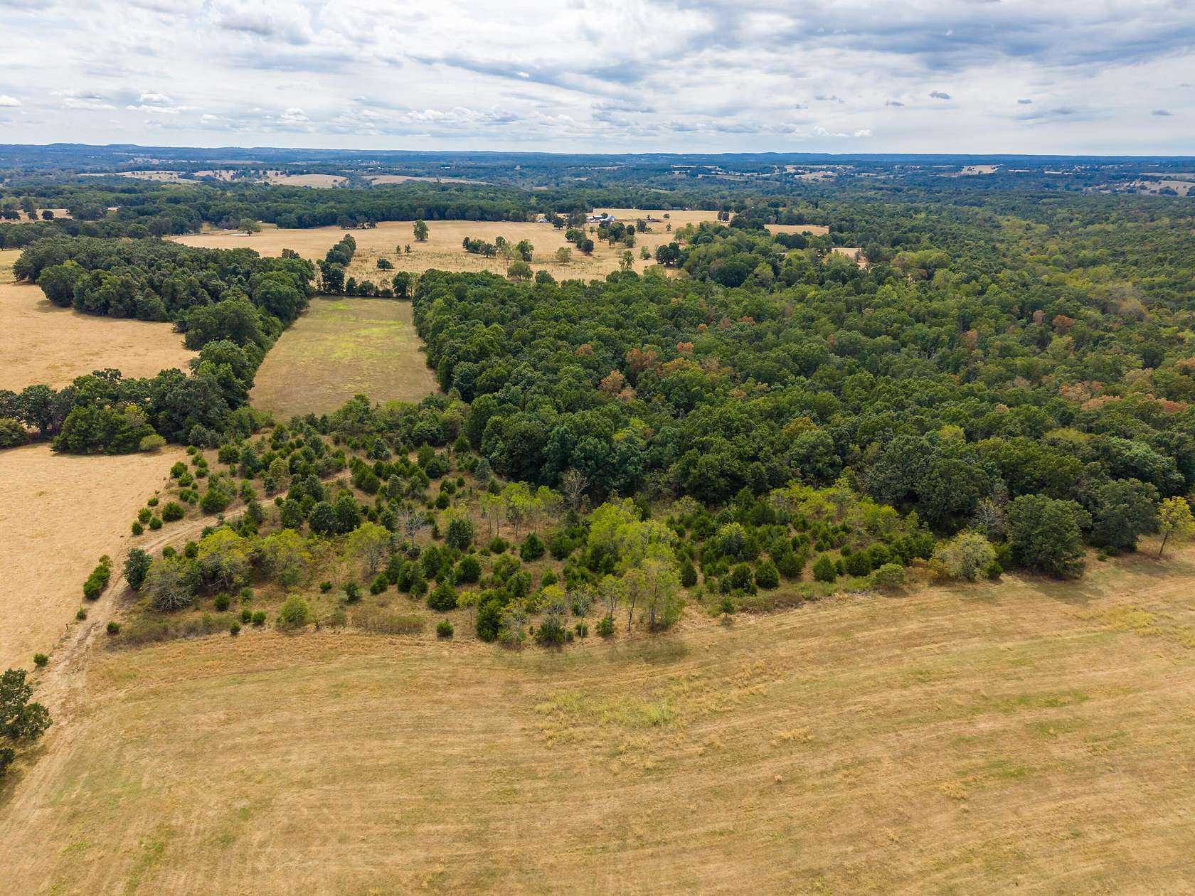 48 Acres of Land for Sale in Hartville, Missouri