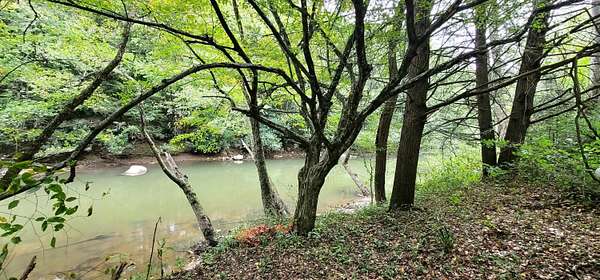 Residential Land for Sale in Charmco, West Virginia