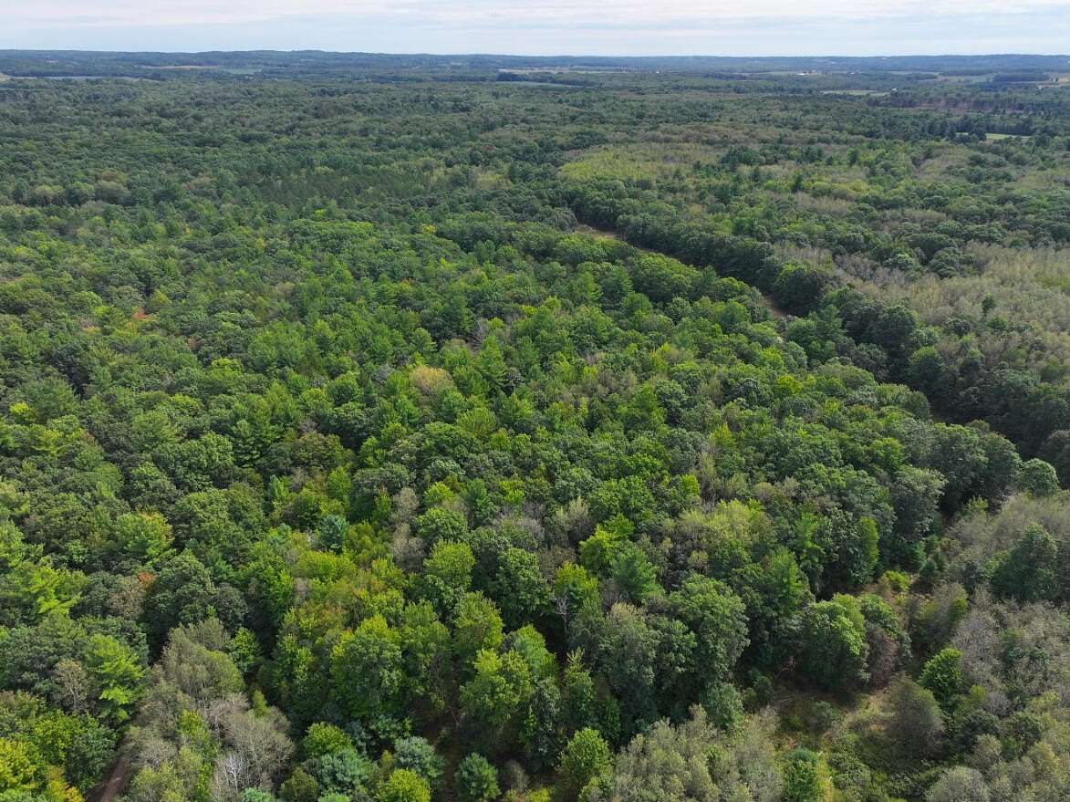 5.5 Acres of Land for Sale in Hart, Michigan