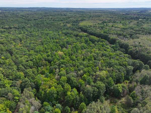 5.5 Acres of Land for Sale in Hart, Michigan