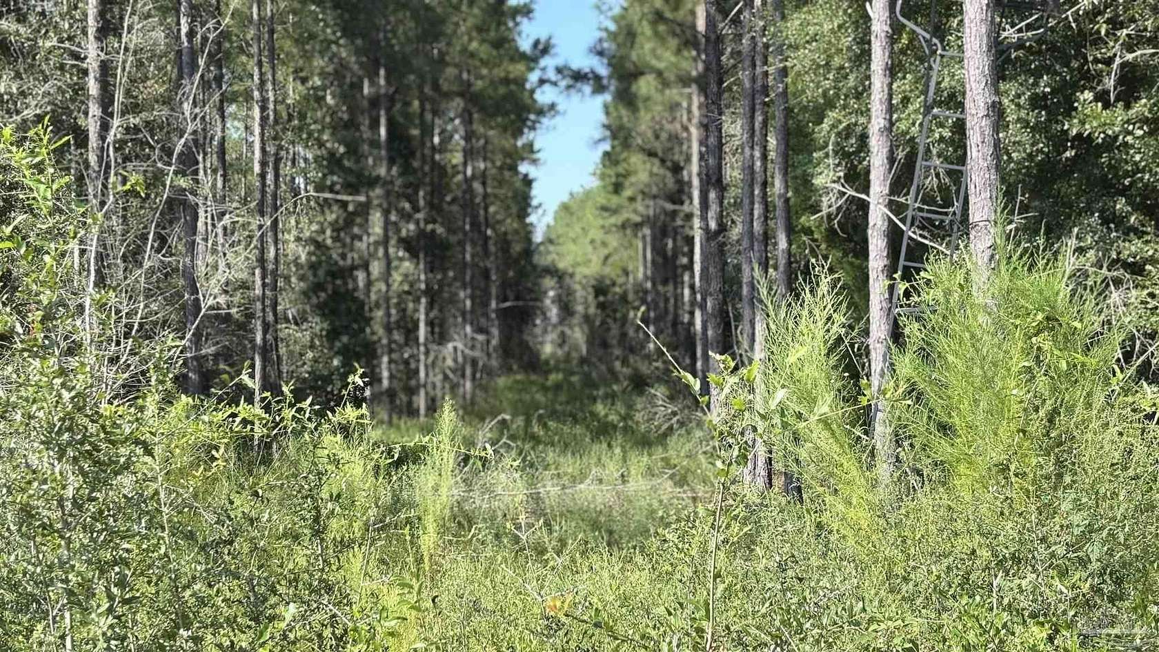 1.44 Acres of Residential Land for Sale in Allentown, Florida