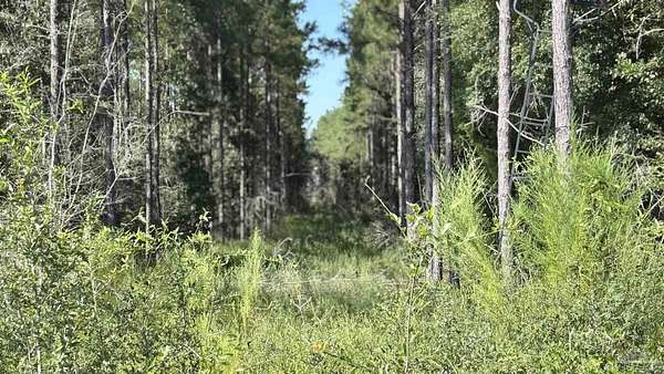 1.44 Acres of Residential Land for Sale in Allentown, Florida