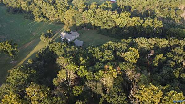 15.5 Acres of Land with Home for Sale in Horton, Alabama