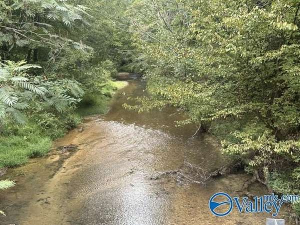124 Acres of Recreational Land for Sale in Waterloo, Alabama
