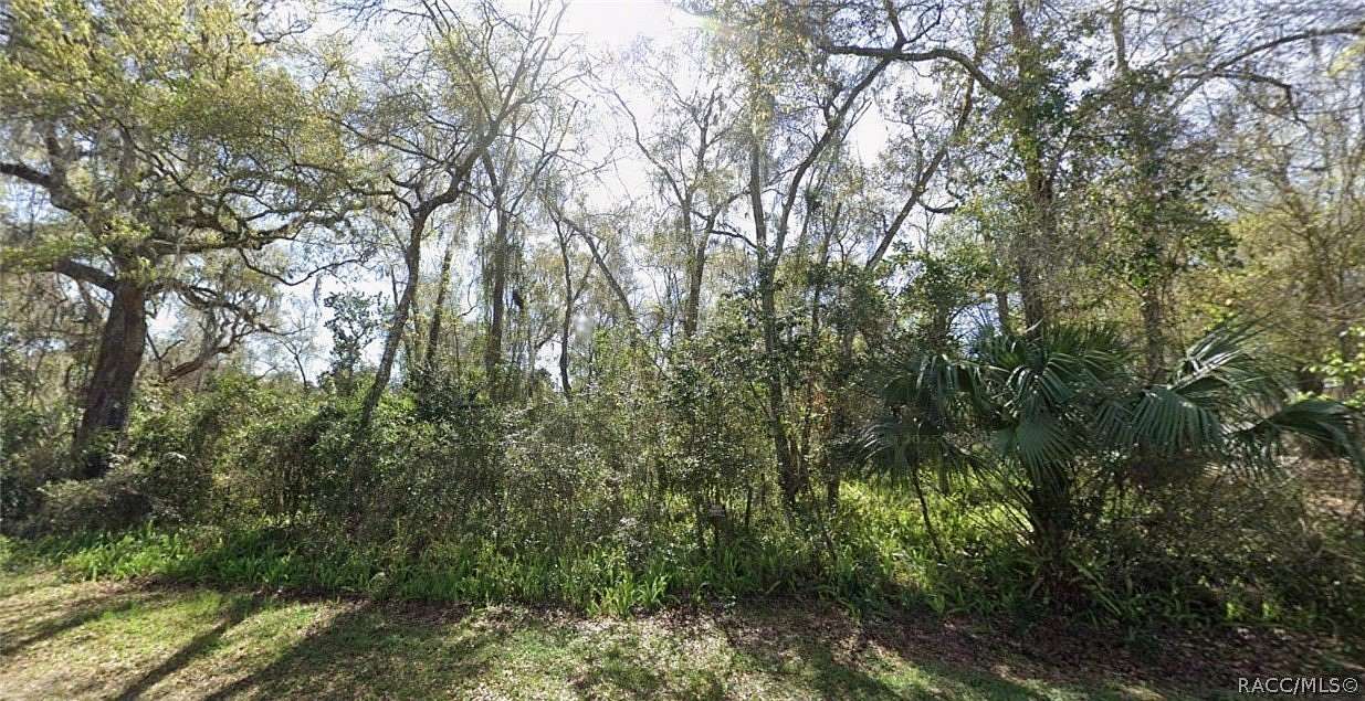 0.16 Acres of Land for Sale in Floral City, Florida