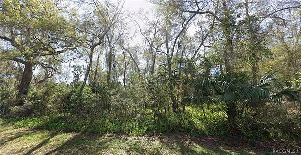 0.16 Acres of Land for Sale in Floral City, Florida