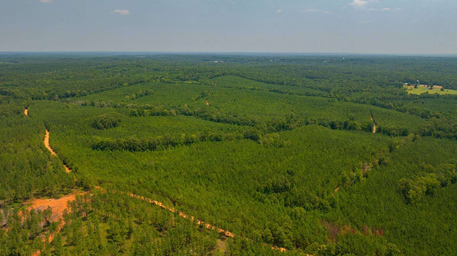 227 Acres of Recreational & Residential Land for Sale in Musella, Georgia