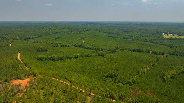 227 Acres of Recreational & Residential Land for Sale in Musella, Georgia