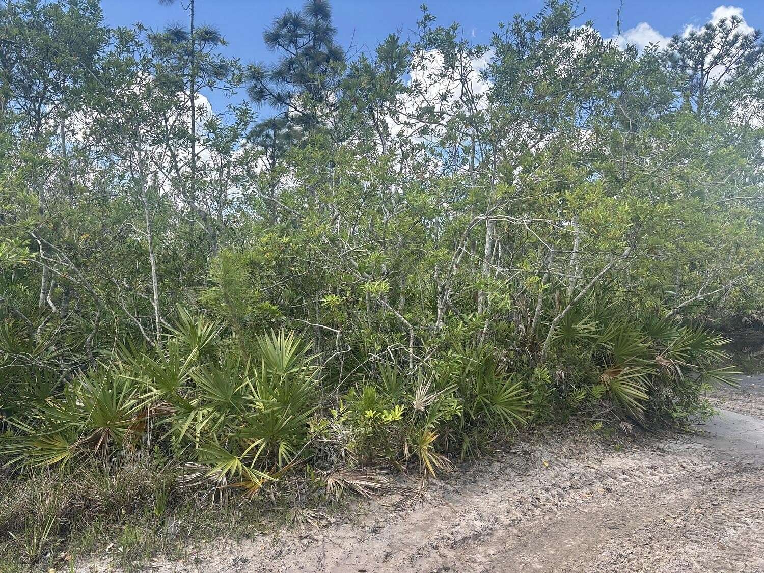 0.31 Acres of Land for Sale in St. Cloud, Florida