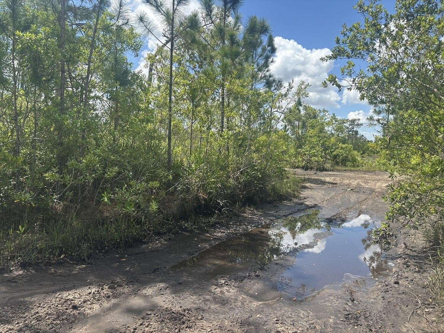 0.31 Acres of Land for Sale in St. Cloud, Florida
