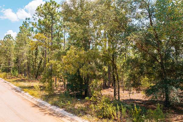 0.9 Acres of Residential Land for Sale in Interlachen, Florida