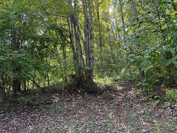 0.34 Acres of Residential Land for Sale in Newland, North Carolina
