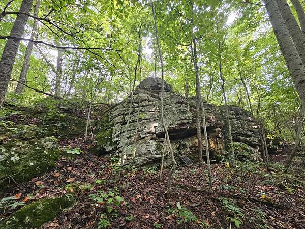 9 Acres of Land for Sale in Beersheba Springs, Tennessee