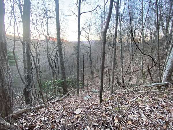 0.28 Acres of Residential Land for Sale in Sevierville, Tennessee