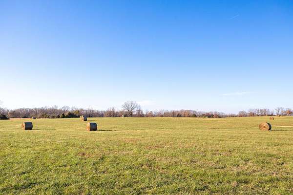 111 Acres of Agricultural & Residential Land for Sale in Oakgrove, Arkansas