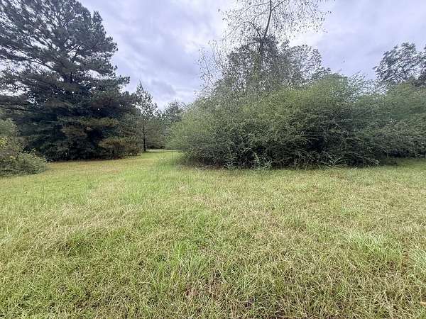11.7 Acres of Recreational & Residential Land for Sale in Americus, Georgia