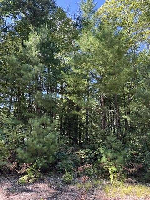 0.33 Acres of Land for Sale in Baldwin, Michigan