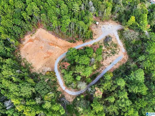 15.2 Acres of Land for Sale in Columbiana, Alabama