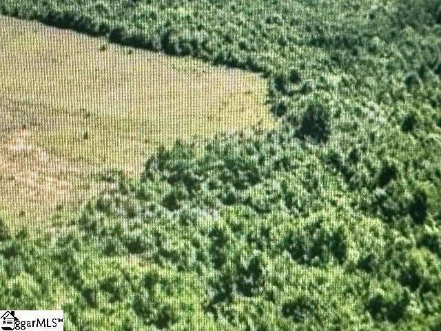 1 Acre of Residential Land for Sale in Laurens, South Carolina