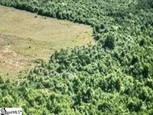 1 Acre of Residential Land for Sale in Laurens, South Carolina