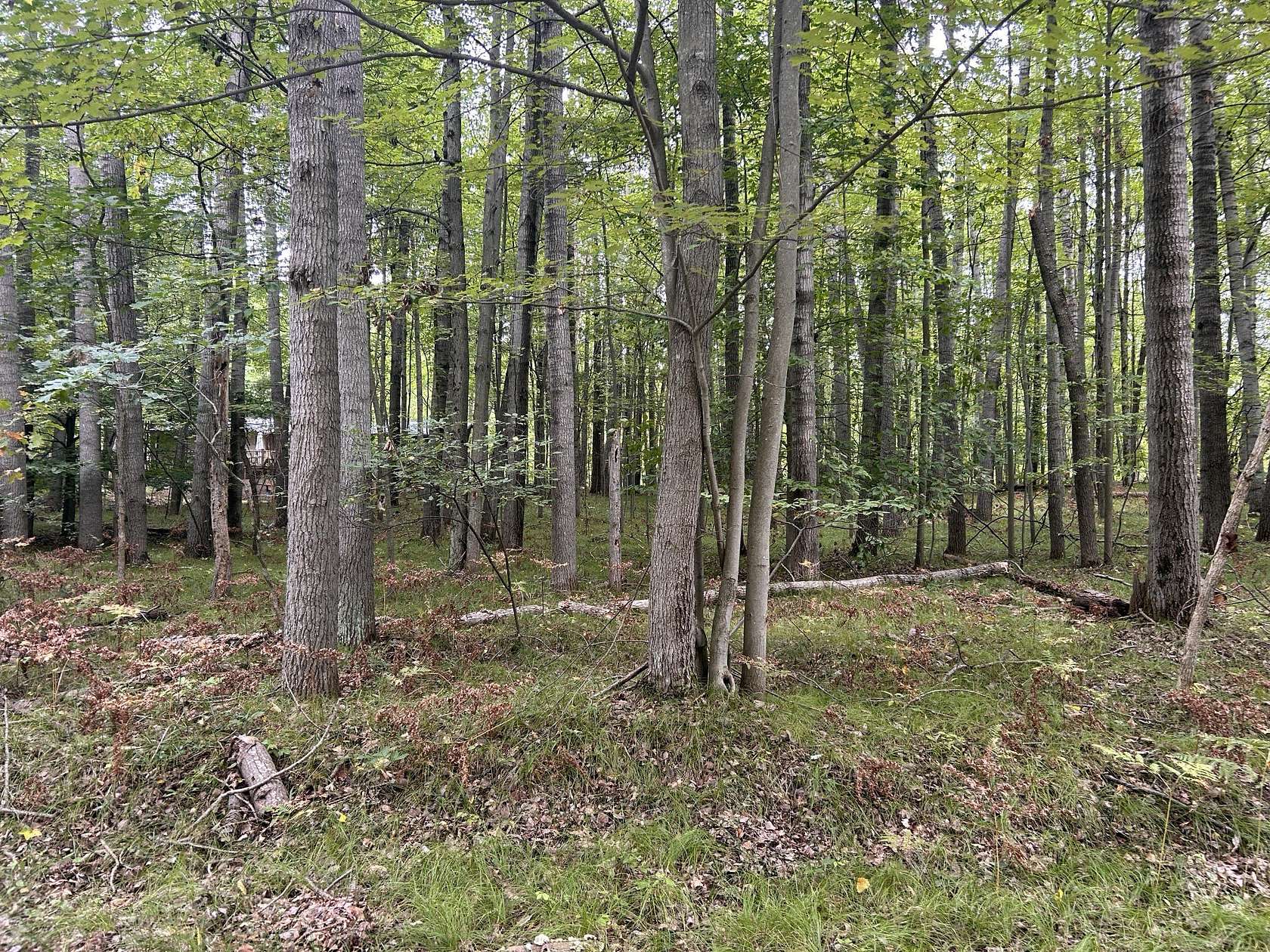 0.29 Acres of Residential Land for Sale in Stanwood, Michigan