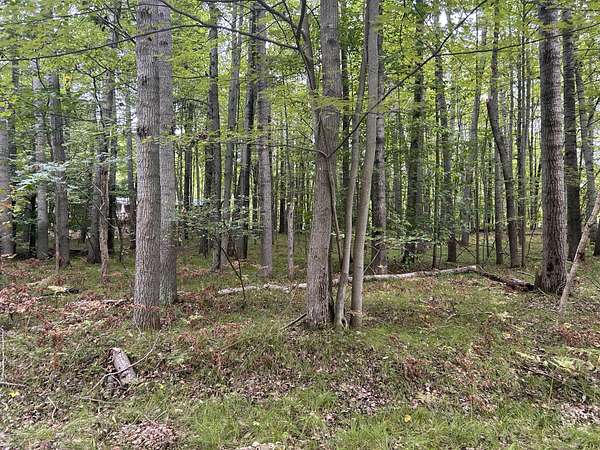 0.29 Acres of Residential Land for Sale in Stanwood, Michigan