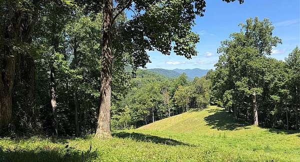 10 Acres of Land for Sale in Burnsville, North Carolina
