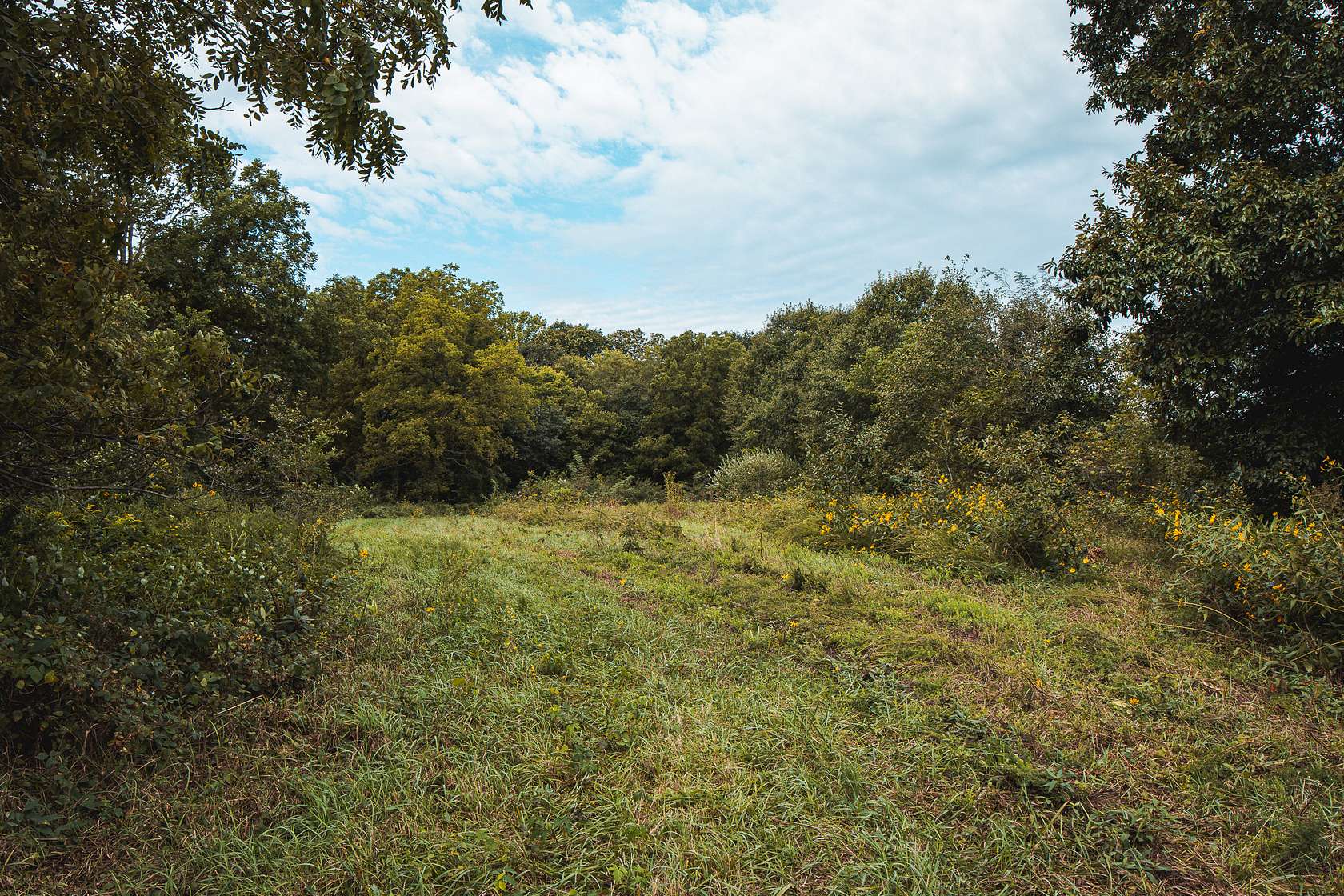16 Acres of Agricultural Land for Sale in Maysville, Missouri