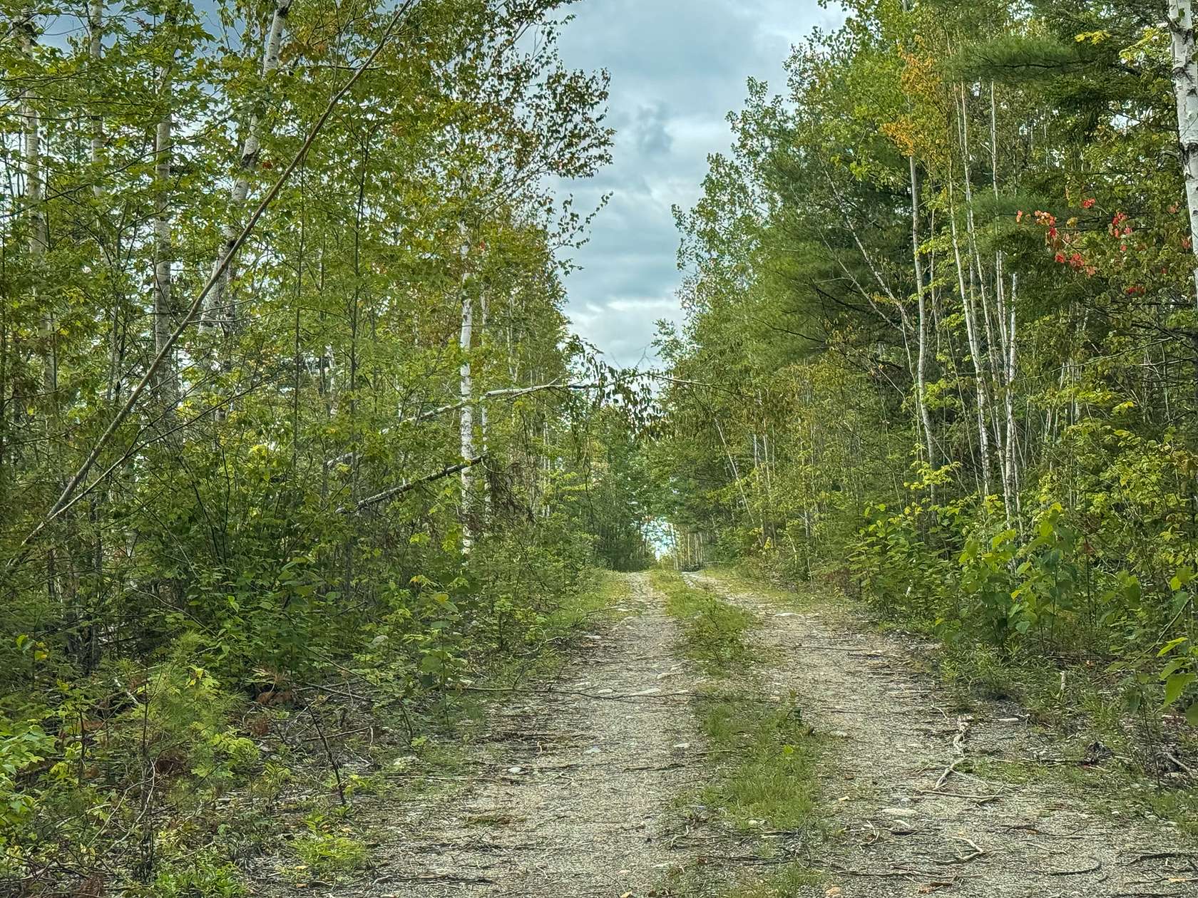 44 Acres of Land for Sale in Wesley, Maine