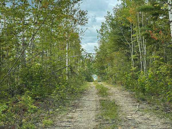 44 Acres of Land for Sale in Wesley, Maine