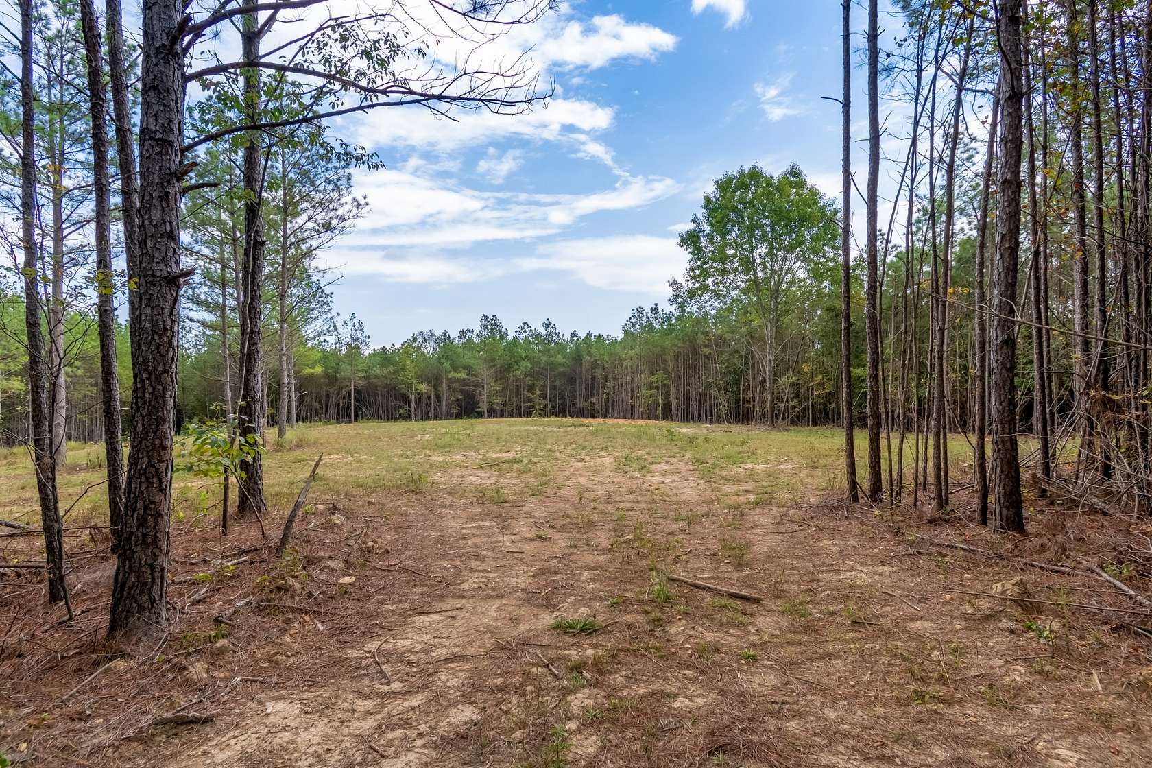 20.4 Acres of Recreational & Residential Land for Sale in Shady Grove, Tennessee