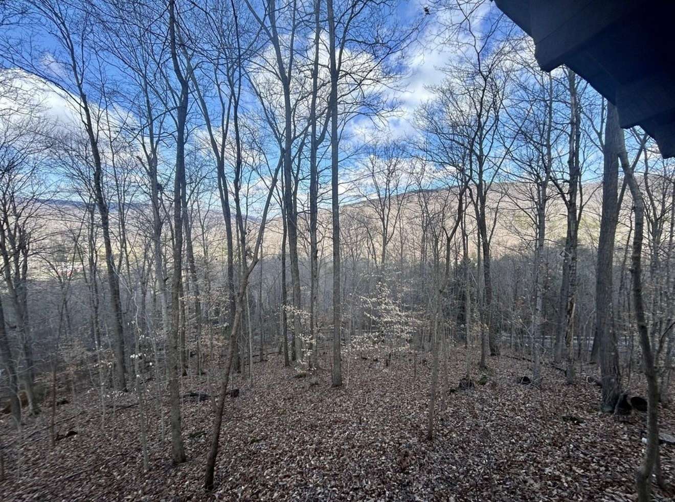 5.3 Acres of Residential Land for Sale in Rock Island, Tennessee