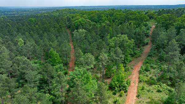 229 Acres of Land for Sale in Ben Wheeler, Texas