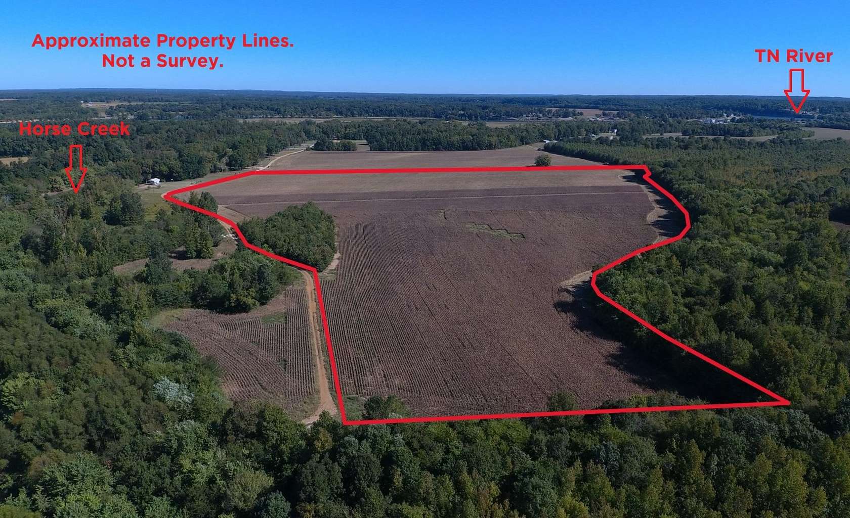 40.6 Acres of Land for Sale in Savannah, Tennessee