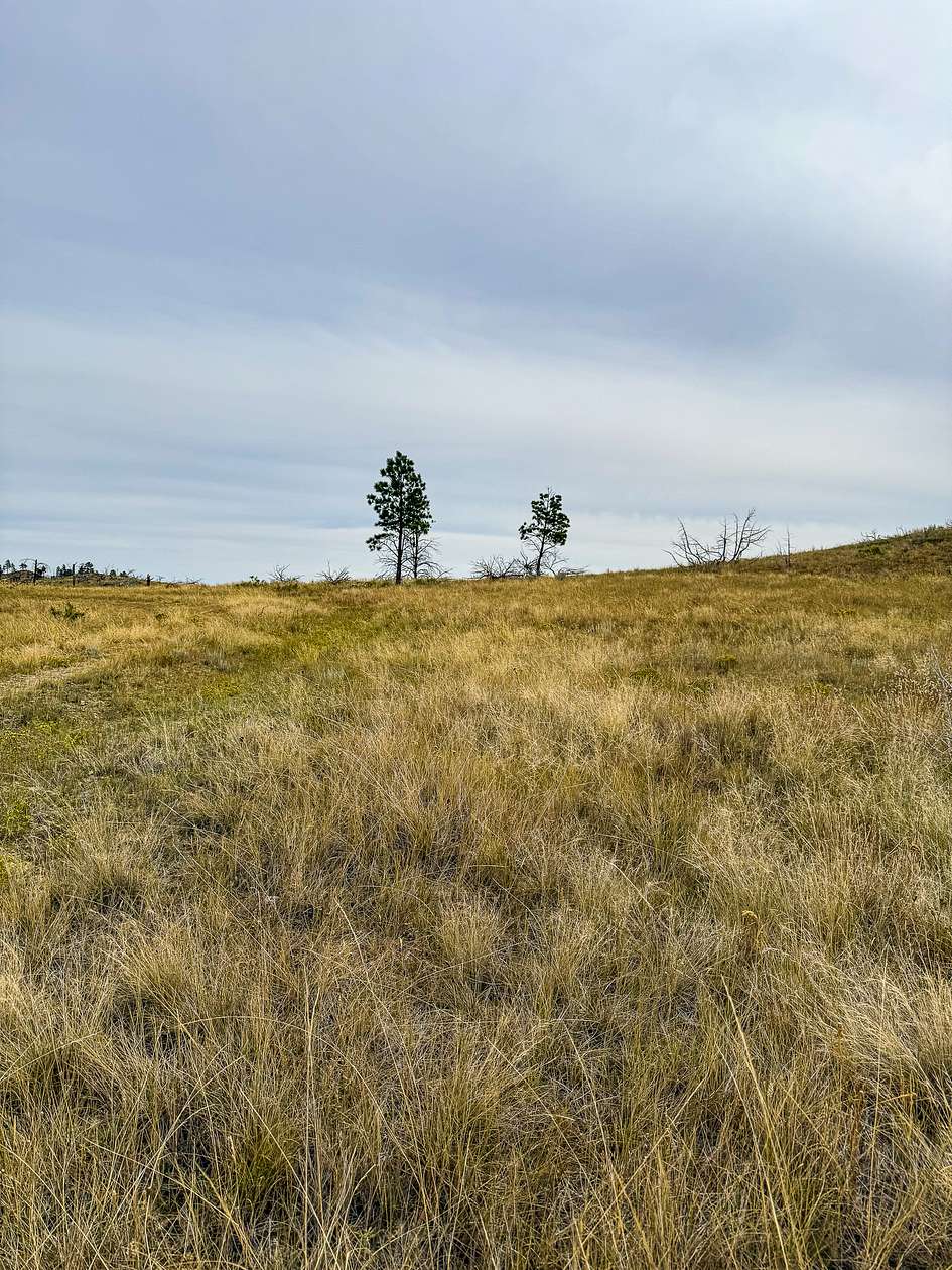 20 Acres of Land for Sale in Mosby, Montana