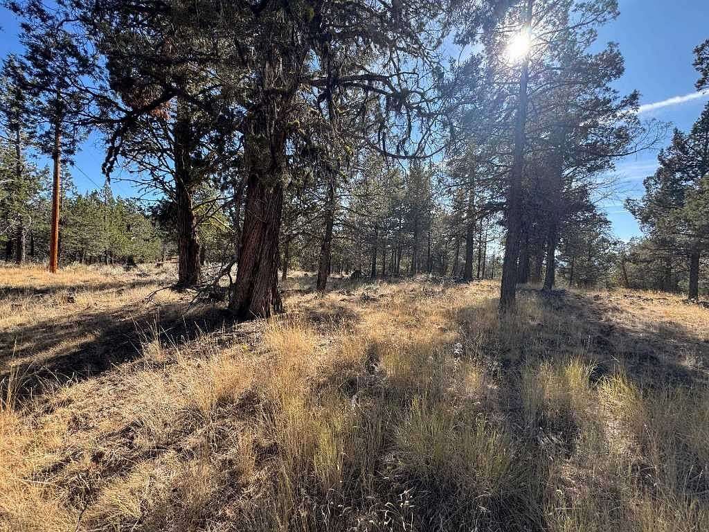 9.7 Acres of Land for Sale in Dorris, California