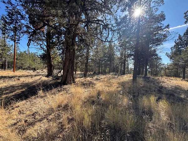 9.7 Acres of Land for Sale in Dorris, California