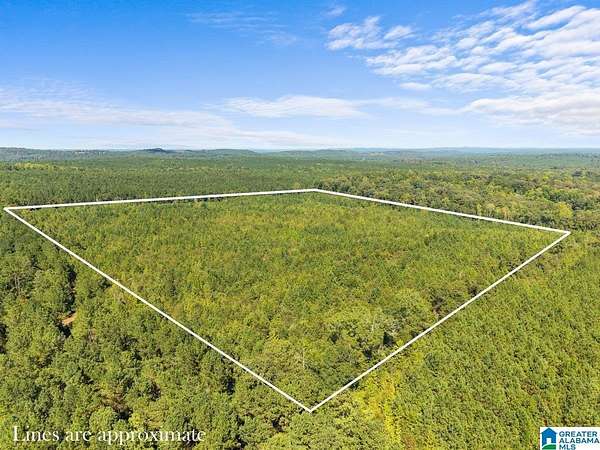 40 Acres of Recreational & Residential Land for Sale in Clanton, Alabama