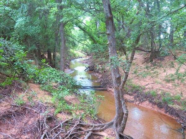 37.8 Acres of Land for Sale in Bowie, Texas