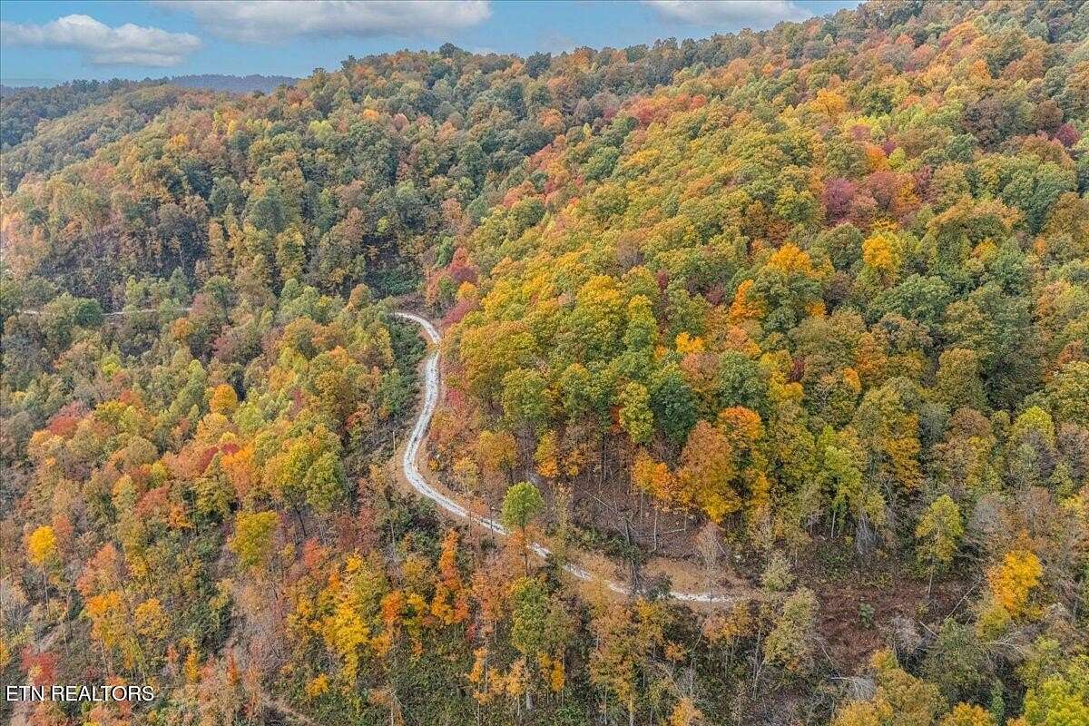 25 Acres of Land for Sale in Oneida, Tennessee