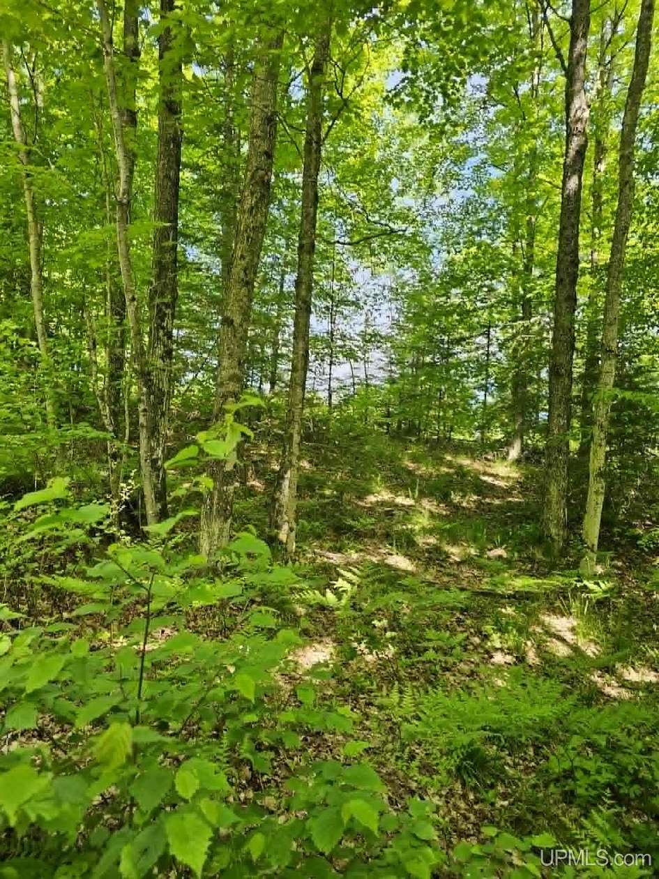 7.48 Acres of Residential Land for Sale in Iron Mountain, Michigan