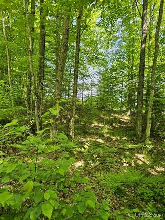 7.48 Acres of Residential Land for Sale in Iron Mountain, Michigan